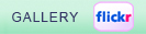 flickr gallery