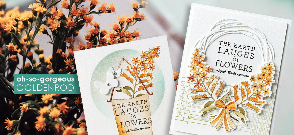 Penny Black's 2025 October Flower of the Month, Goldenrod