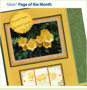 New! Page of the Month